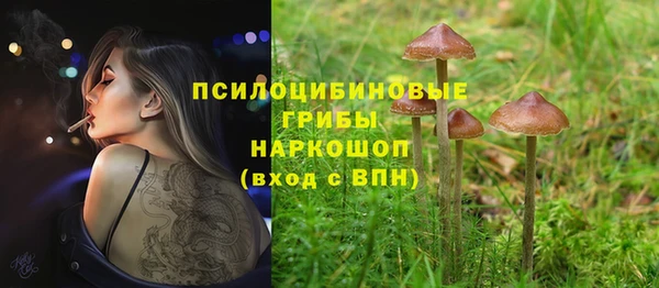apvp Лиски