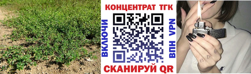 Дистиллят ТГК концентрат  Купить закладки  Грязи 