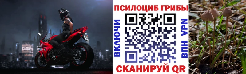 Псилоцибиновые грибы Magic Shrooms  Купить где  Грязи
